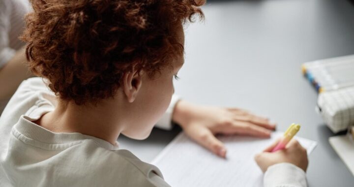 ii-nab--r-do-projektu-nadwi--la--ski-rozw--j-kwali-auto-3502