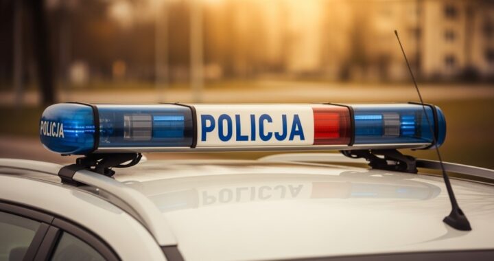 wsp--lna-si--a-kampanii-archiwum-x--razem-szukamy--auto-6618