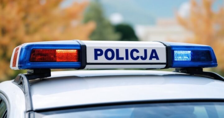 dzielnicowy-w-przedszkolu--jak-dzieci-ucz---si---o-auto-6637