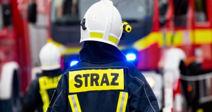 jak-oznaczenia-woz--w-stra--ackich-wp--ywaj---na-i-auto-6657