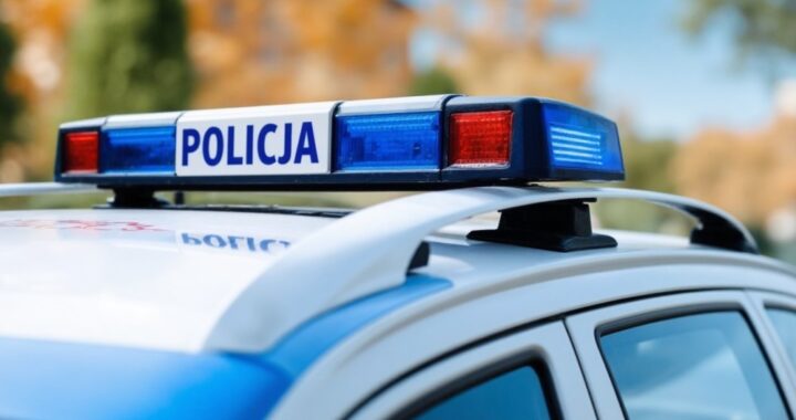 rekordowa-liczba-g--os--w-w-plebiscycie--superdzie-auto-6632