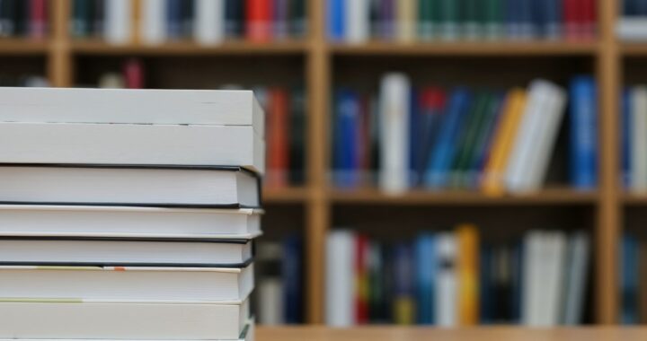 rozmowylive-w-tczewie--liderzy-bibliotek-w-akcji-auto-6340