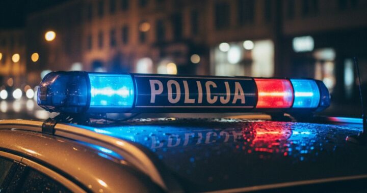 tczewscy-policjanci-zatrzymali-oszust--w-interneto-auto-6915