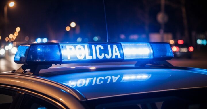 policja-i-kas-likwiduj---nielegalny-hazard-w-tczew-auto-305