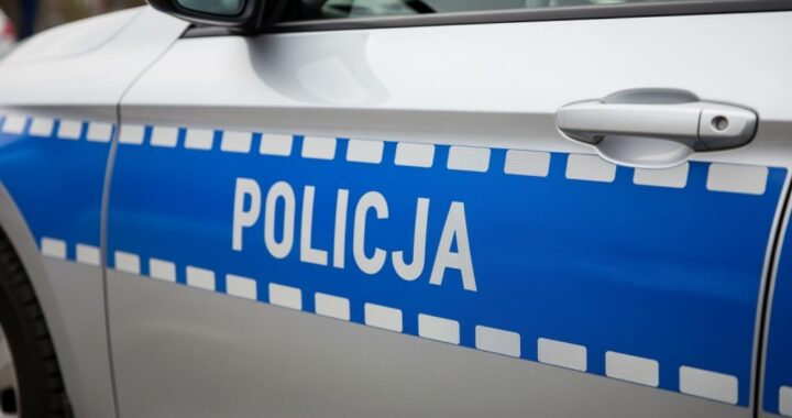 policja-zatrzyma--a-pi--ciu-poszukiwanych-przest---auto-6101