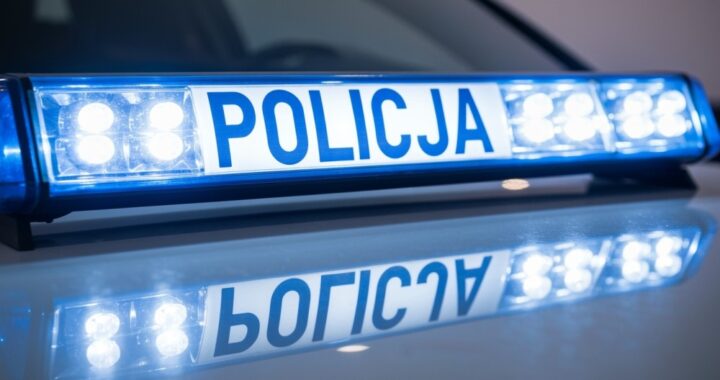 czy-wiesz----e-s--u--ba-w-policji-mo--e-oznacza----auto-337