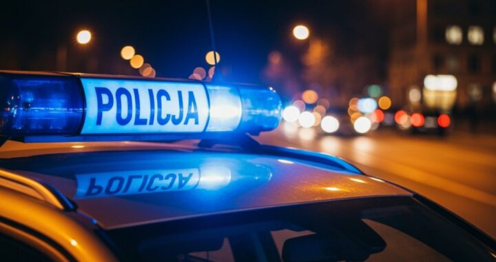 policjanci-ujawnili-naruszenia-podczas-weekendowyc-auto-1339